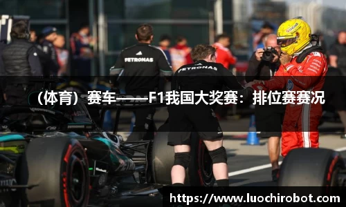 （体育）赛车——F1我国大奖赛：排位赛赛况